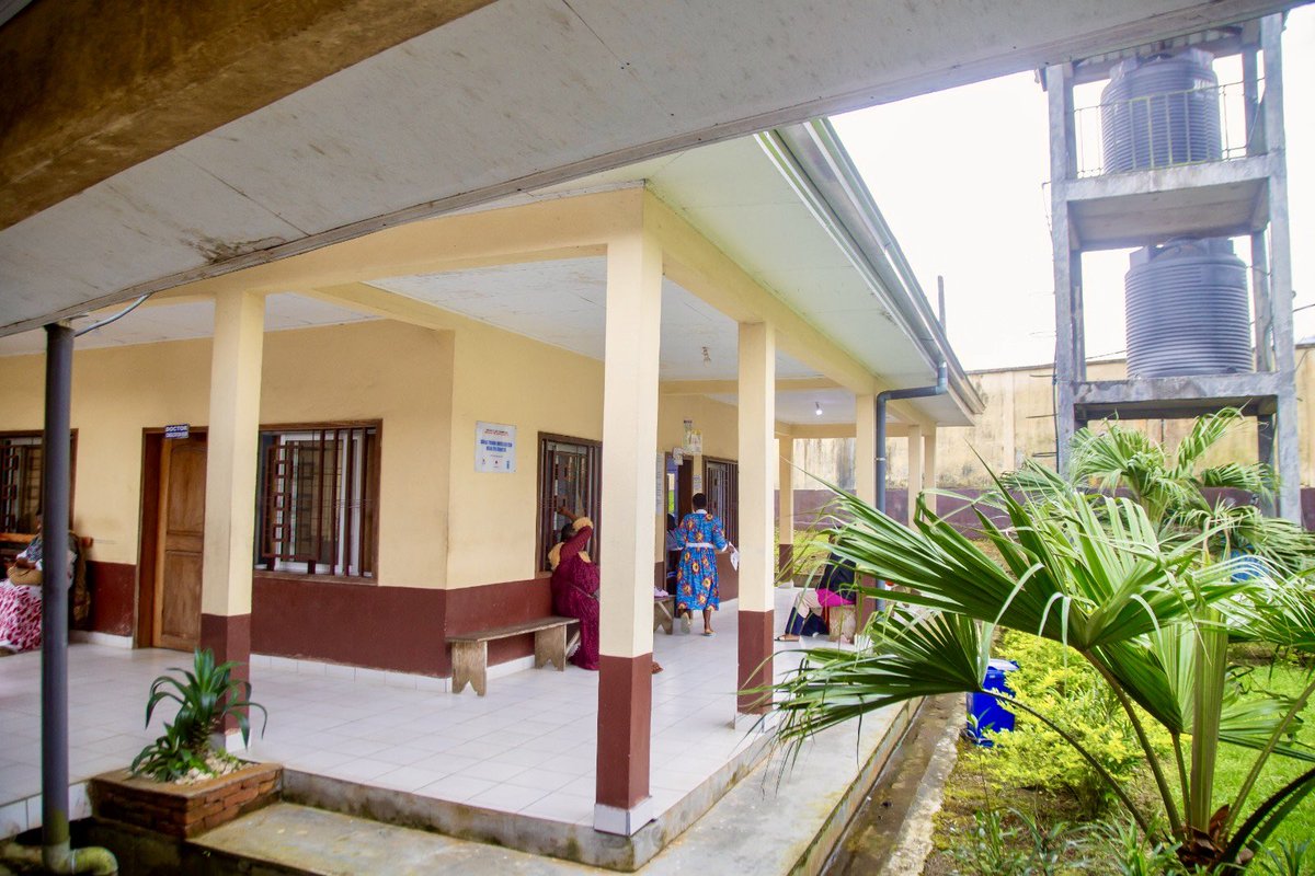 PNUD Cameroun tweet media