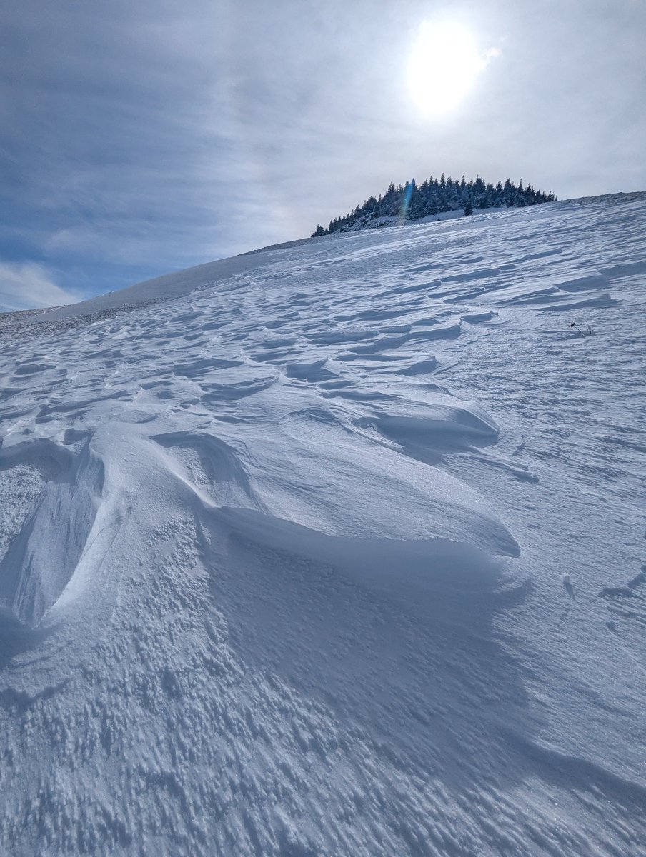 ᴍɪᴋᴇ.ʟᴀᴍᴀɴᴅᴇ́ 📷 - Auvergne⛰️ tweet media