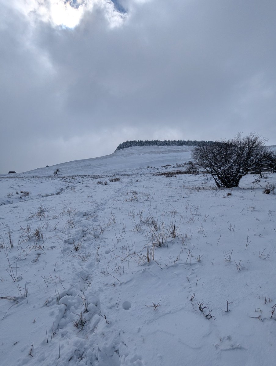 ᴍɪᴋᴇ.ʟᴀᴍᴀɴᴅᴇ́ 📷 - Auvergne⛰️ tweet media