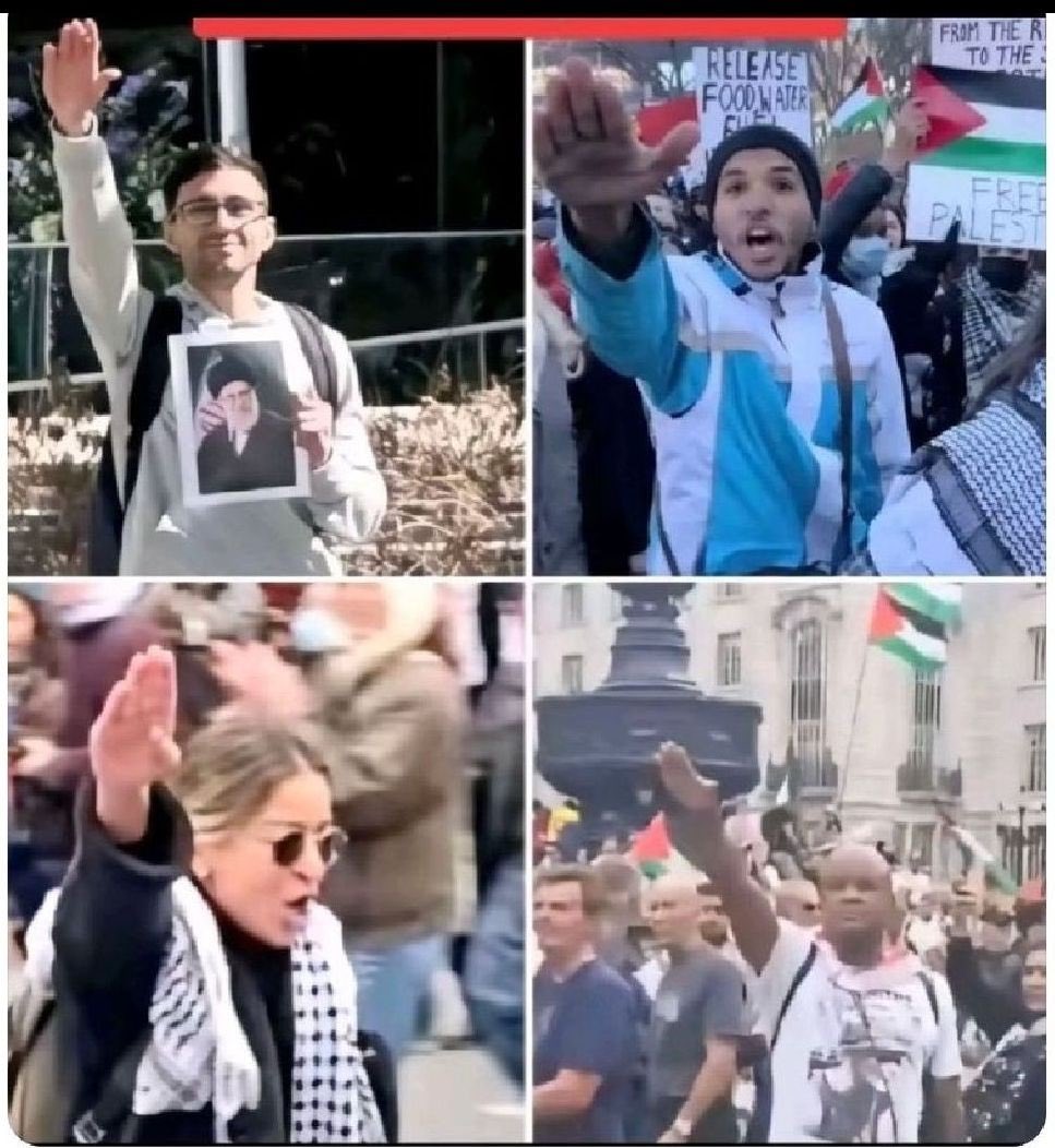 Je Suis l'Unique🇲🇫 tweet media