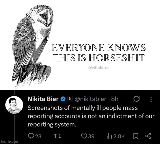 It's not just the report brigades. It's the complete one-sided moderation that goes on behind the scenes. Ambiguous categories like "hate" and "abuse and harassment" are weaponized against us. 

These creatures come to our posts and insult us, threaten us, threaten to rape every