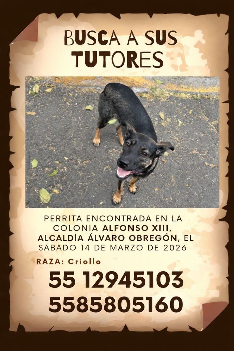 Mundo Patitas AC tweet media