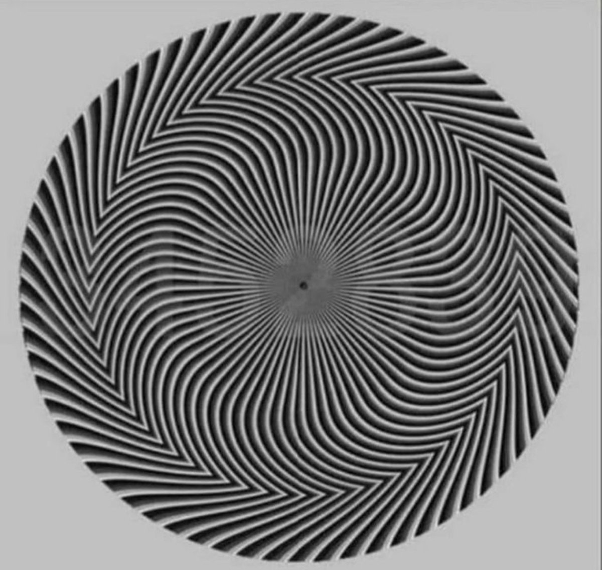 🇦🇪 حسن الأمير 🇦🇪 tweet media