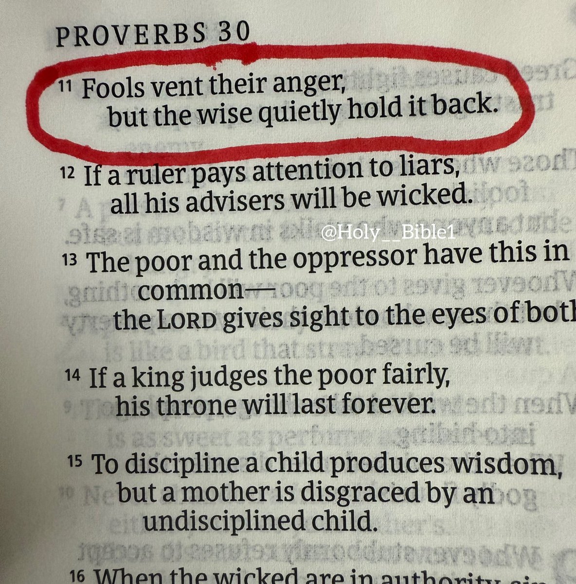 Holy Bible tweet media