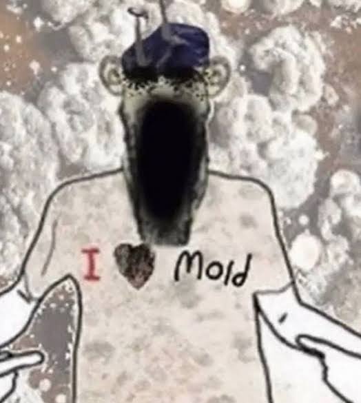 @ayycatburger tweet media