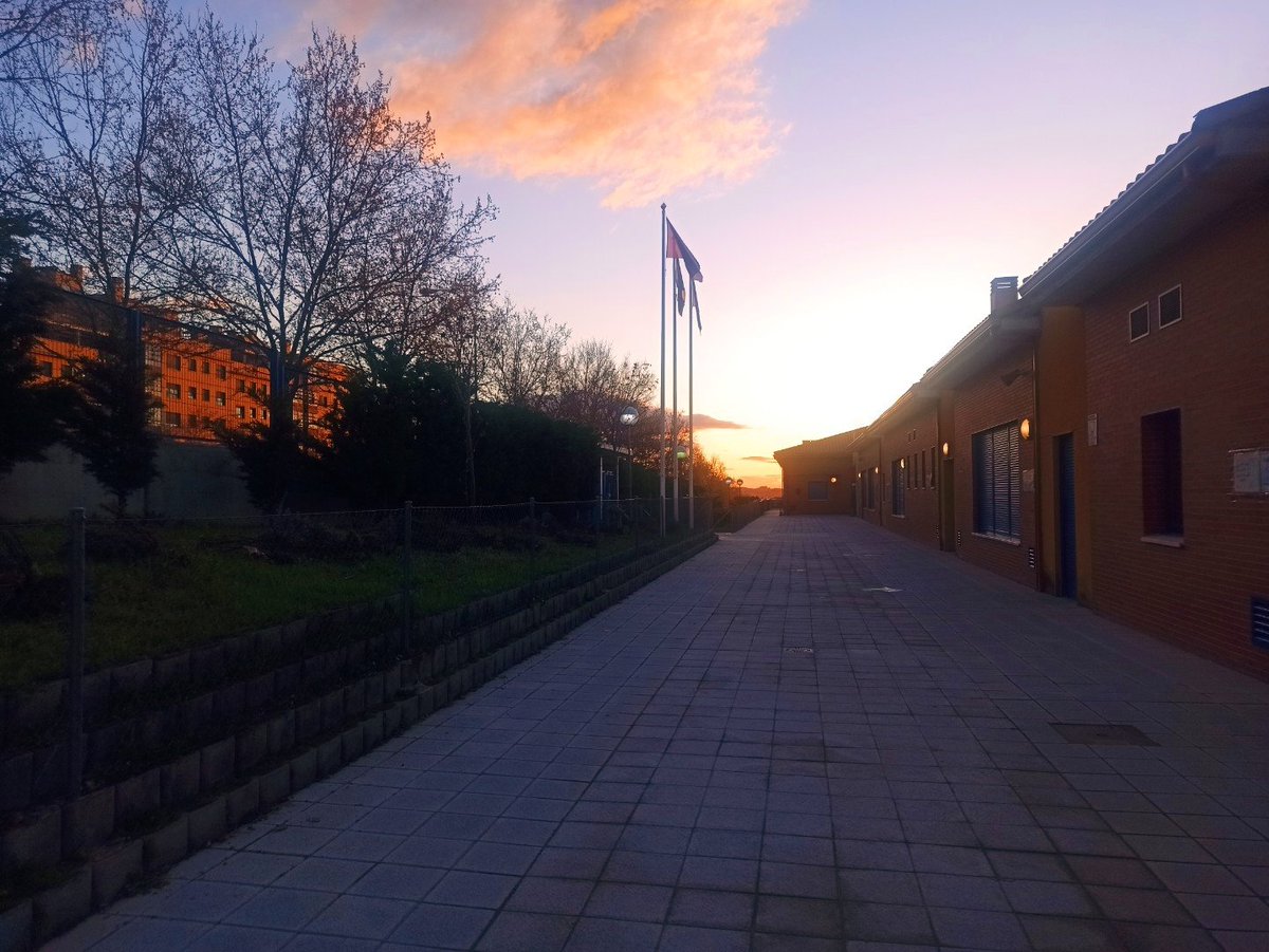 CEIP Maestro Padilla tweet media