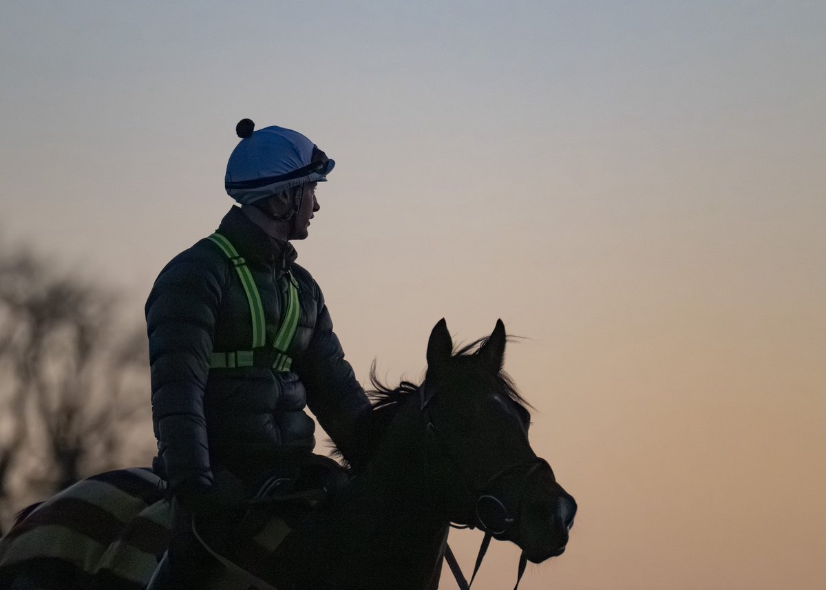 Archie Watson Racing tweet media