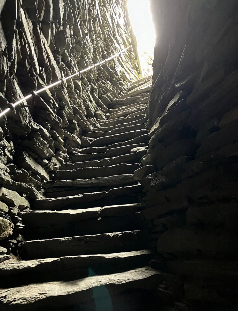 Iain Cameron tweet media