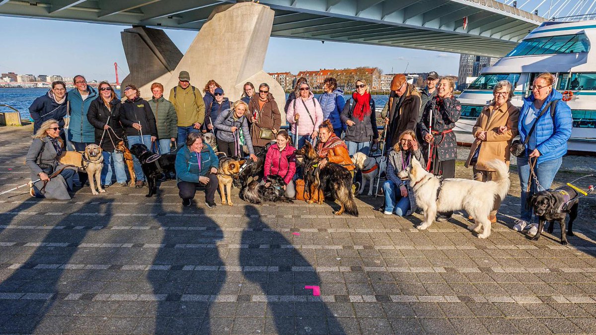 De Telegraaf tweet media