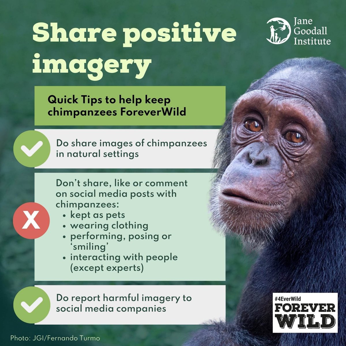 jessica 🐒 tweet media