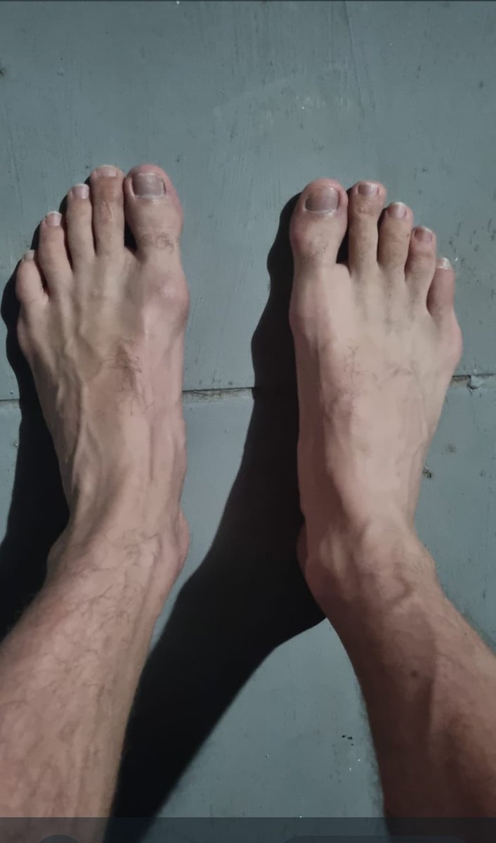 Alpha Giant tweet media