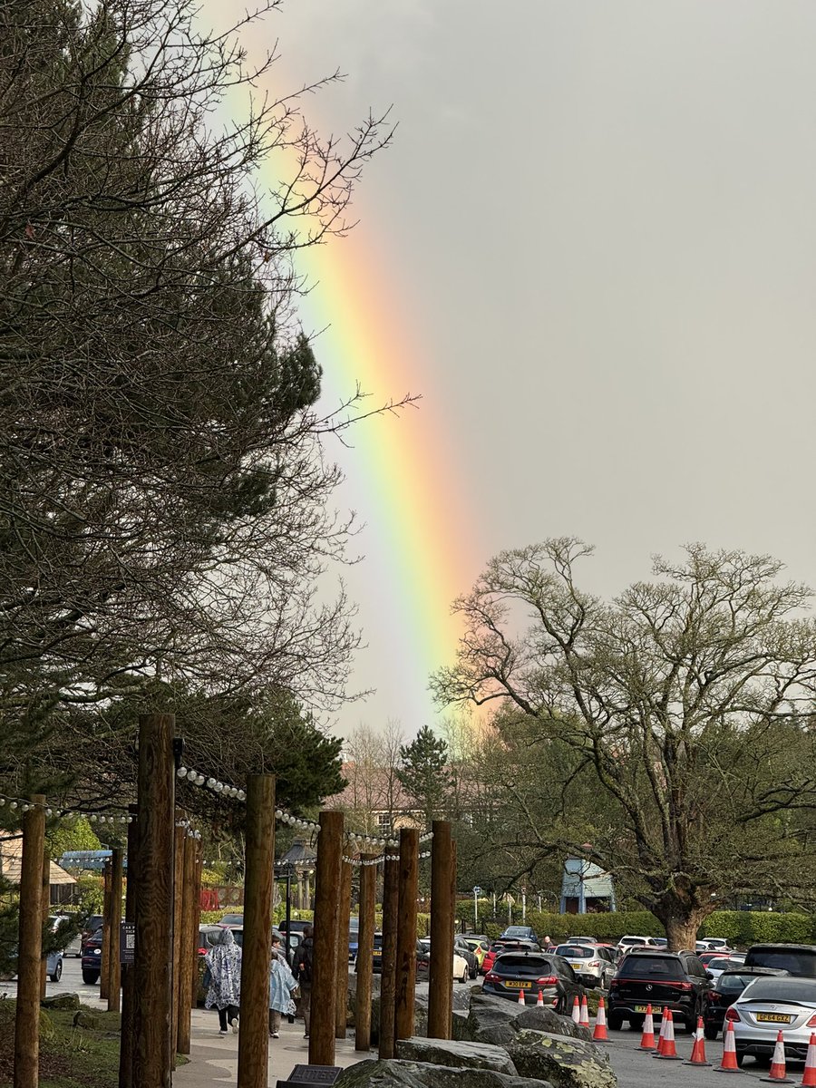 TowersStreet tweet media