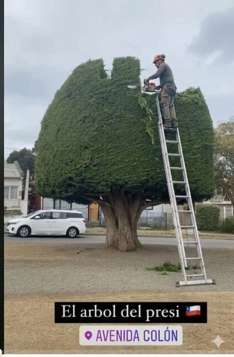 Y va a caer y va a caer el arbolito de Gabriel !!! Caeran uno a uno por lo que le hicieron al pueblo de CHILE, ocuparon al pobre para mejor SU VIDA  !!!

<a href="/negroxeneixe25/">T O K i 🇨🇱</a> <a href="/JocheTonioGV/">JOCHE 👊🏼💥</a> <a href="/Afrodita_diosa7/">Afrodita</a> <a href="/celesluna34/">Celeste</a> <a href="/Joseito_Anthony/">José Antonio</a> <a href="/ThaleChilexKast/">ͲᎻᎪᏞᎬϴΝᎪ🇨🇱 con Kast🖐️</a> <a href="/Coco220322/">La Cocó I ❤️ KAST 🇨🇱 Republicana 🇨🇱</a>