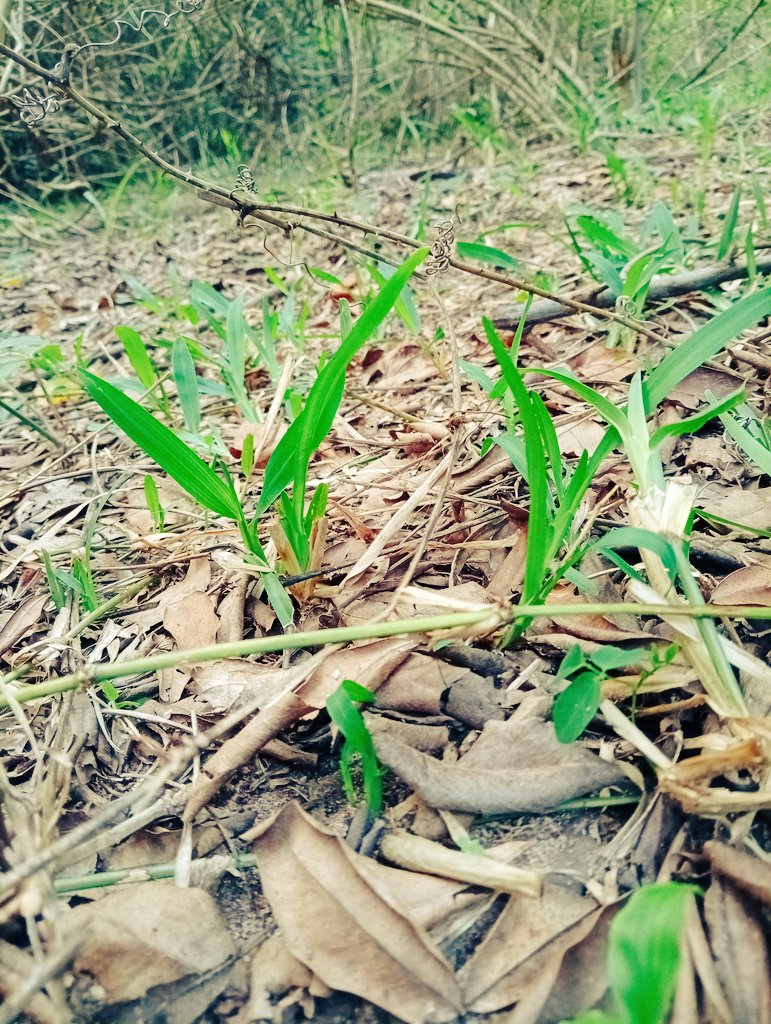 Jîjö🔆 tweet media