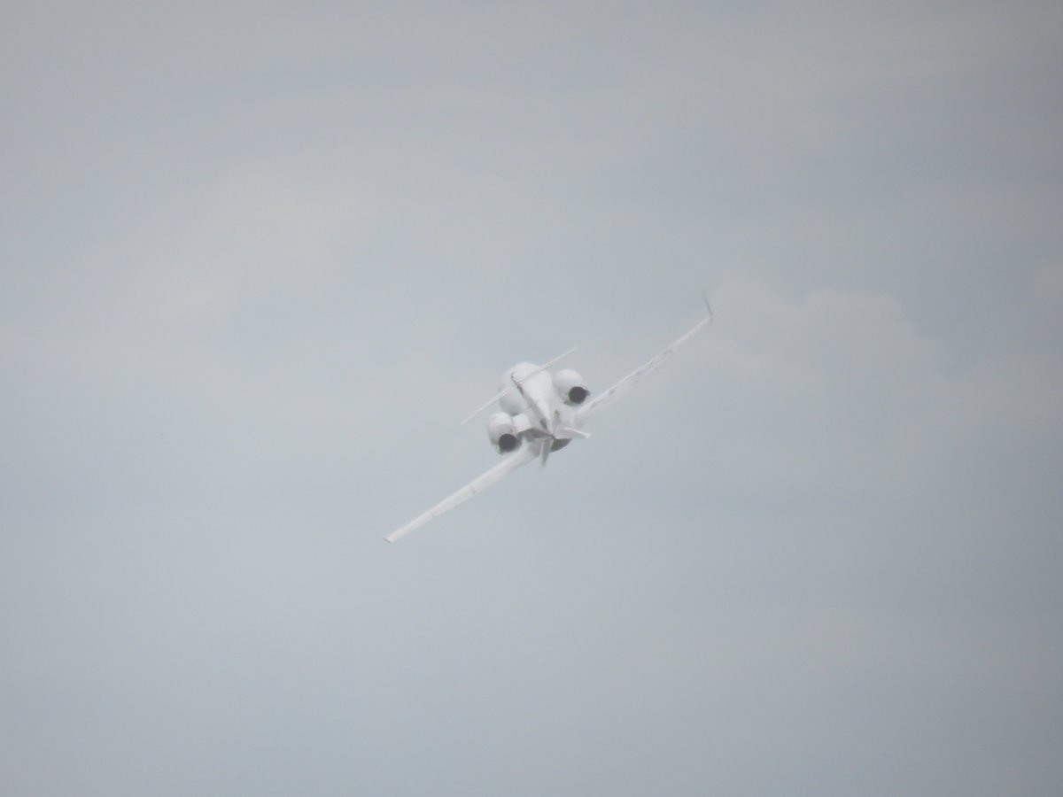 Edgardo A Martinez tweet media