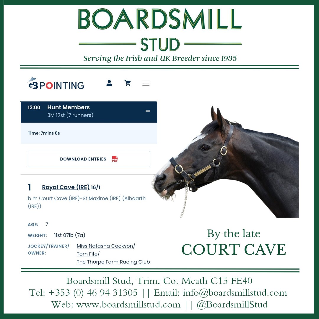 Boardsmill Stud tweet media