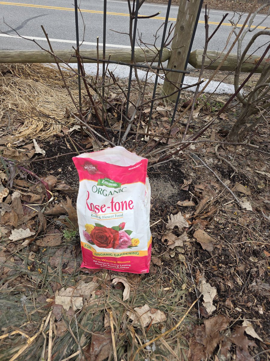 Dave Epstein tweet media