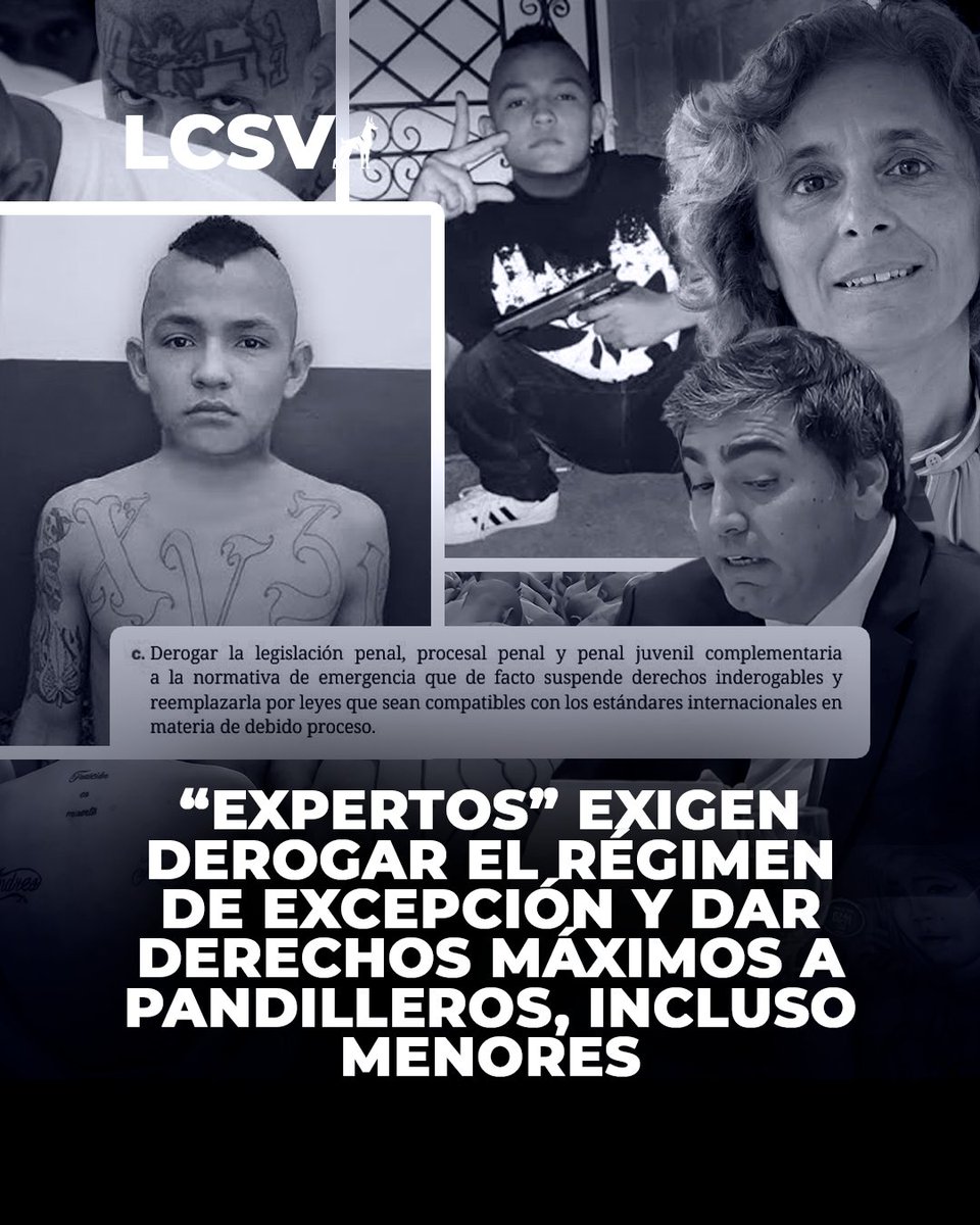 #LoÚltimo | ¡ALERTA MÁXIMA EN EL SALVADOR! “EXPERTOS” EXIGEN DEROGAR EL RÉGIMEN DE EXCEPCIÓN Y DAR DERECHOS MÁXIMOS A PANDILLEROS, INCLUSO MENORES 🇸🇻⚖️😱

Mientras El Salvador celebró un 2025 histórico con solo 82 homicidios y una tasa de 1.3 por cada 100.000 habitantes —la más