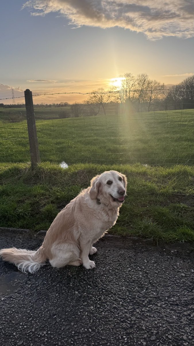 Peter Sherratt tweet media