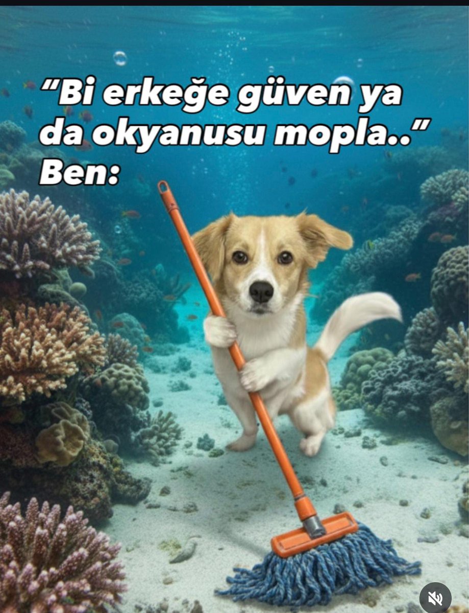 Bizim güncel ilişki durumu