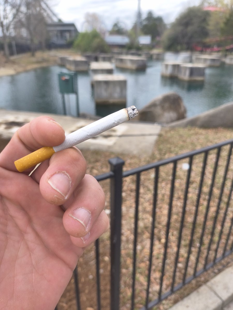 Coastin' USA w/Clay tweet media