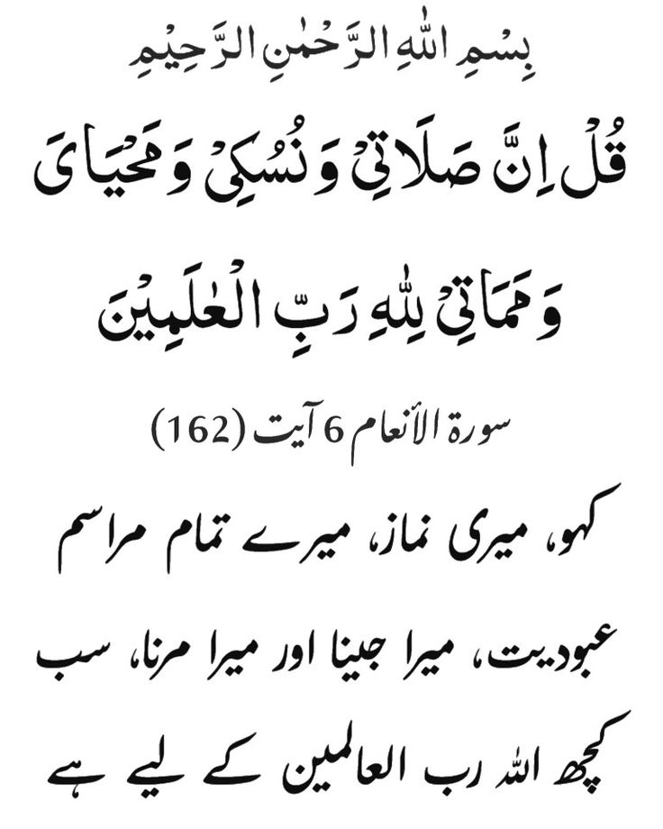 #P_PTi 09
<a href="/NM1k_/">༺ 💎𒆜𝑵𝑬𝑬𝑵𝑨𝑯𒆜💎 ༻</a> <a href="/As40t/">𝐀 𝐒𝐚𝐭𝐭𝐚𝐫</a> <a href="/P_PTi4/">𝗧𝗲𝗮𝗺 #𝗣_𝗣𝗧𝗶</a>
<a href="/Ghz_l4/">✦𝐆𝖍𝖆𝖟𝖆𝖑𝖆𝖍.𝐒✦</a> <a href="/Y22NY/">YASEEN</a> <a href="/Mirhi_/">Mirhi</a>
<a href="/z_aini_/">A Sattar 2</a> <a href="/A_2SF/">S Rahe</a> <a href="/Dni_40/">Daniyal</a>
<a href="/0gul_/">✧ Gυʅ Aαɾα ✧</a>
<a href="/_zi5g/">⚜ حَامْـ ـد ⚜</a>
<a href="/IAIJ1_/">Javed Iqbal</a>
<a href="/1Z_k9/">ZK</a>
<a href="/1Lvz0/">𝐿𝒶v𝑒𝑒𝓏𝒶_🍃</a>
<a href="/553ik/">Rabiqueen_30</a>
<a href="/NM2k__/">༄𝓝𝓜᭄🌸 ŋɛɛŋąɧ ❤️❥❥═══</a>
<a href="/ik1PTi/">Amir Hamza</a>
<a href="/Kn78k/">𝑲𝒉𝒂𝒊𝒓 𝑺𝒉𝒂𝒊𝒌𝒉</a>
@MXPTI
<a href="/vvhvv_1/">Hamdi</a>
<a href="/shZ447/">🌻🌻🌻𝕊𝕙𝕒𝕙𝕫𝕒𝕕 𝕄𝕦𝕟𝕚𝕣🌻🌻🌻</a>
<a href="/Azkkohi/">اختر زمان خان</a>
<a href="/b_ngsh12/">✯𝓐𝓛𝓘 𝓚𝓗𝓐𝓝 𝓑𝓐𝓝𝓖𝓐𝓢𝓗✯🇵🇰 ⚔️🦌</a>
<a href="/shd0016/">Shahid</a>
<a href="/Sc2017W/">SC2017</a>
<a href="/Parijaan111/">Parijaan</a> <a href="/zubm9231/">ZUBAIR Muhammad</a>
<a href="/SaraNiazii1/">Sara niazi</a> <a href="/IAIT_/">Talat Iqbal</a> <a href="/IAIJ_/">Genghis Khan</a>
<a href="/zimal293/">🦋𝐑ᴀsʜɪᴅᴀʜ🦋</a> <a href="/Ghz97/">❃ 𝐆𝖍𝖆𝖟𝖆𝖑𝖆𝖍 𝐒𝖆𝖉𝖆𝖋 ❃</a> <a href="/MKPK1/">منصف علی</a>