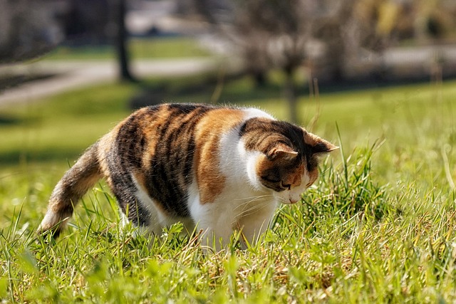 Karen Anderson tweet media