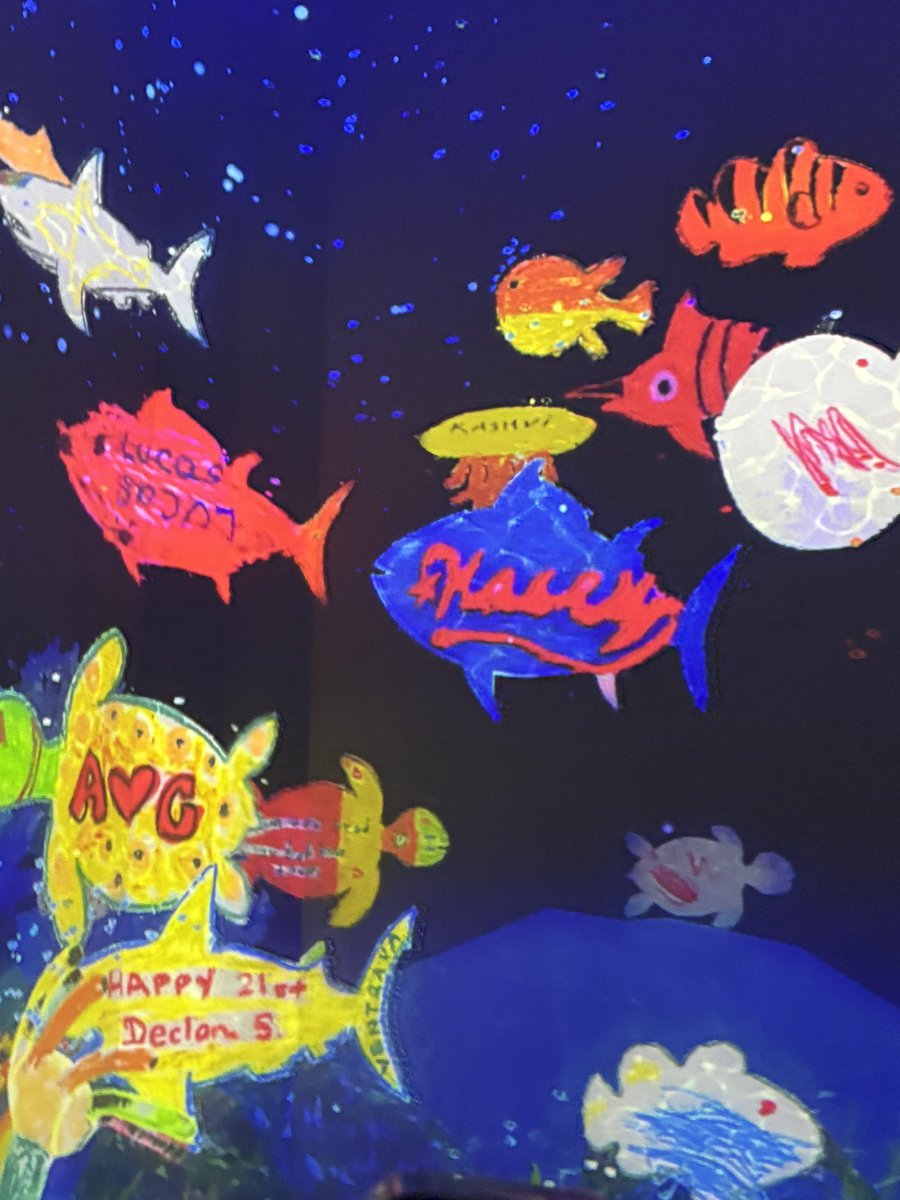 Danielle tweet media