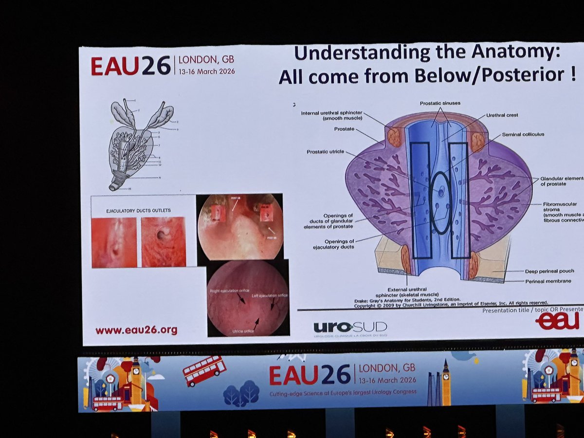 Dr_KevinZorn tweet media