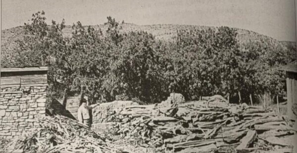 Pals1878's tweet photo. Ashes to Echoes: The Cursed McSween Site 1878 Inferno After Billy the Kid fled the blazing siege that killed Alexander McSween in the Lincoln County War, the ruins were scraped clean by 1880. Enter George Barber: Marries widow Susan, runs butcher shop ON THE SPOT! Thrives... then mysteriously burns down too! Site leveled again 1910s, Fresquez home built over foundations, still stands, altered by time.1924 Billy book sparks 1930s treasure raids. 1986 dig uncovers bullets, relics, cavalry artifacts. Marker relocated, history's ghost lingers!  
Image: George Coe points to the rhe ruins of the McSween site in the 1910s. #BillyTheKid #OldWest #LincolnNM @Pals1878