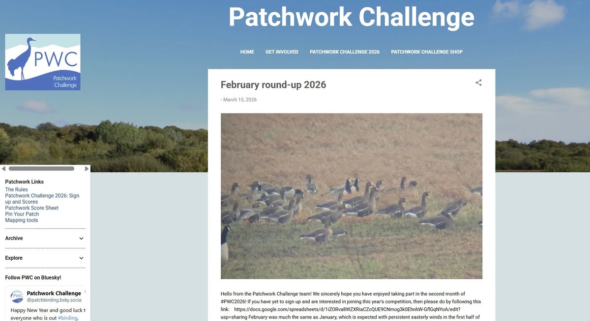 Patchwork Challenge tweet media