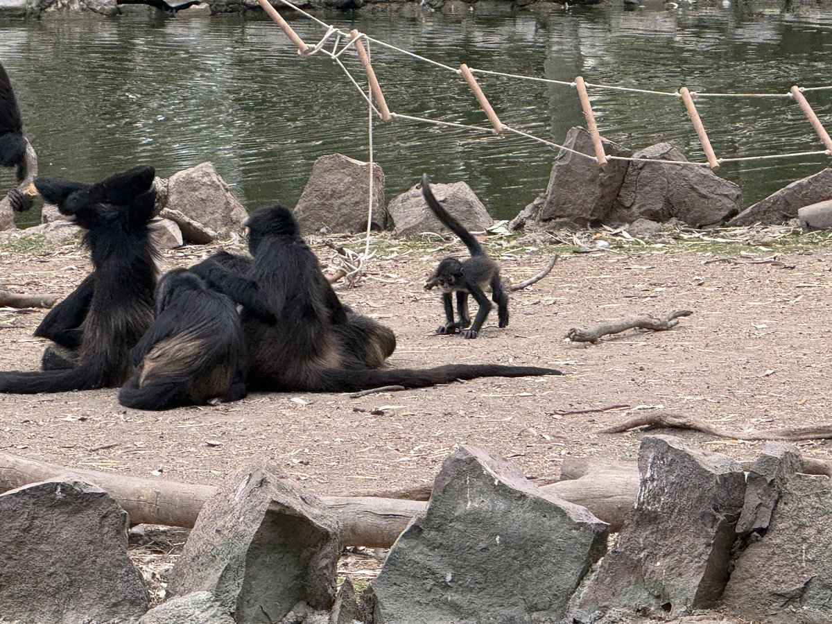 Info León 🦁 tweet media