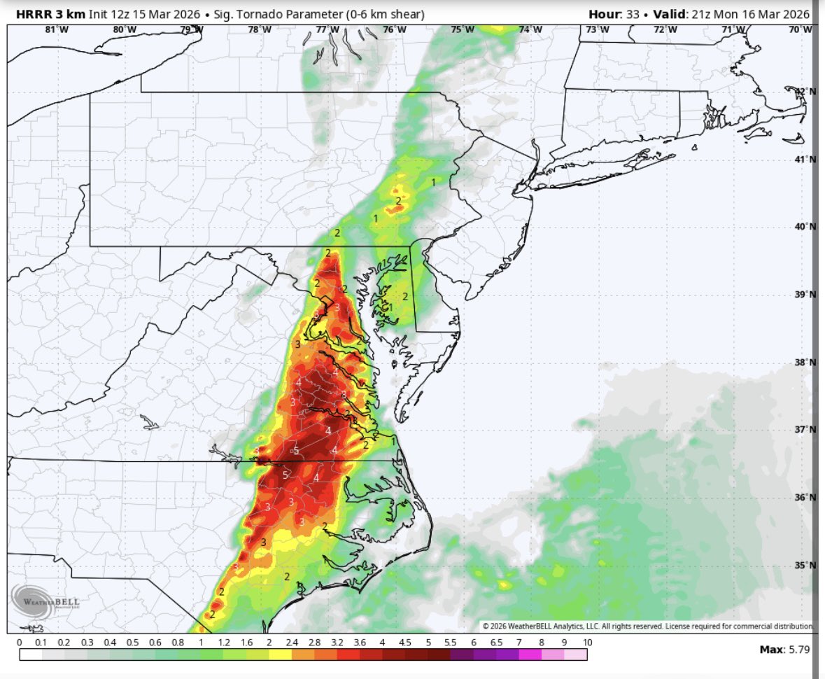 Amy Aaronson tweet media