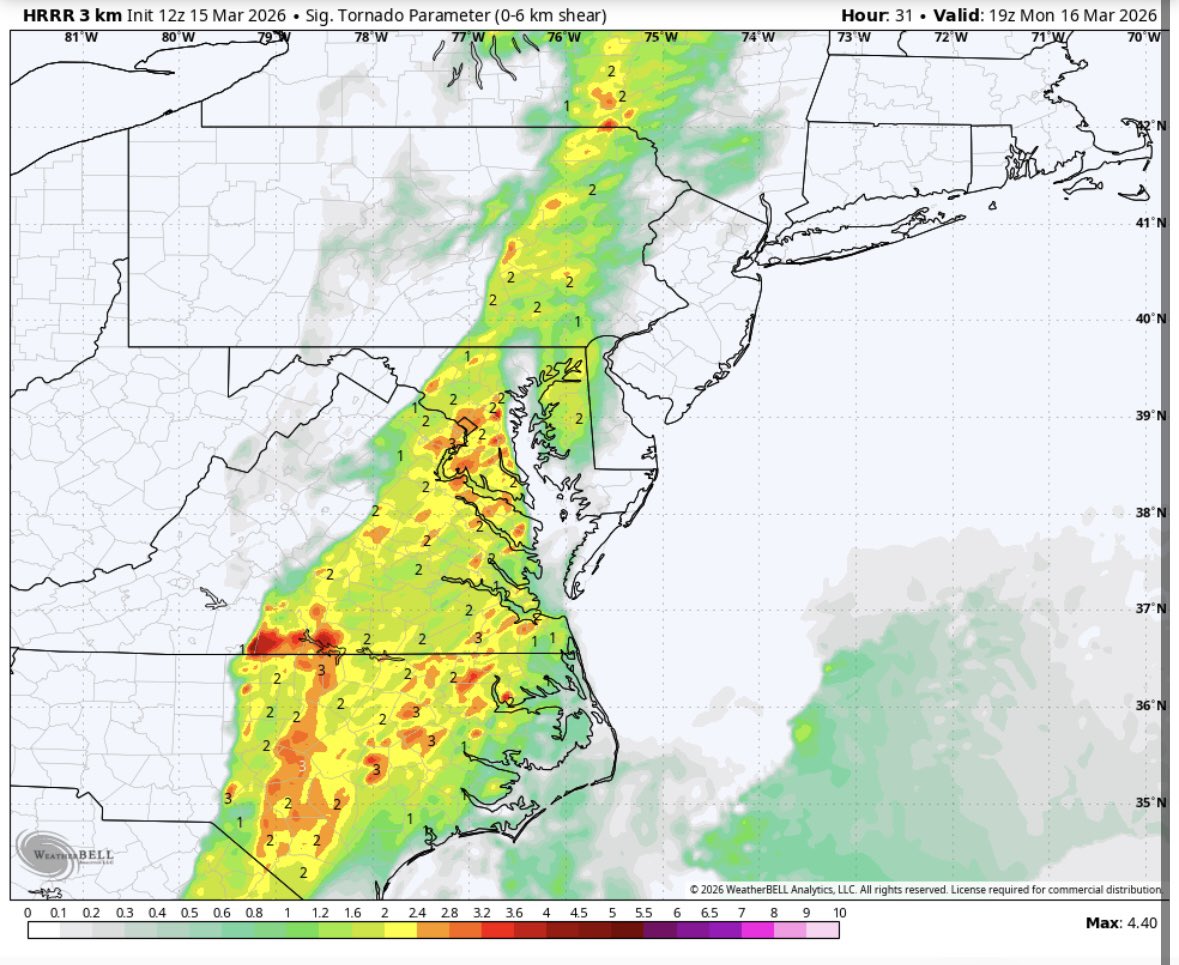 Amy Aaronson tweet media