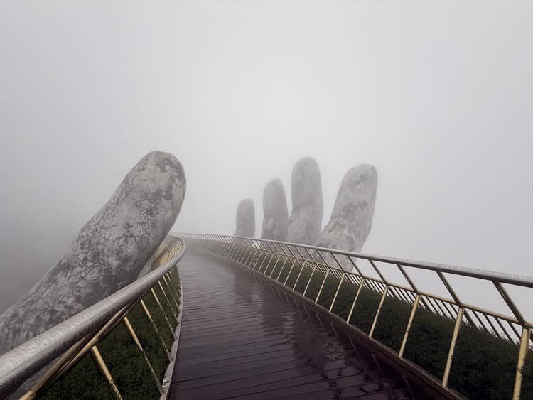 Виталя пишет код tweet media