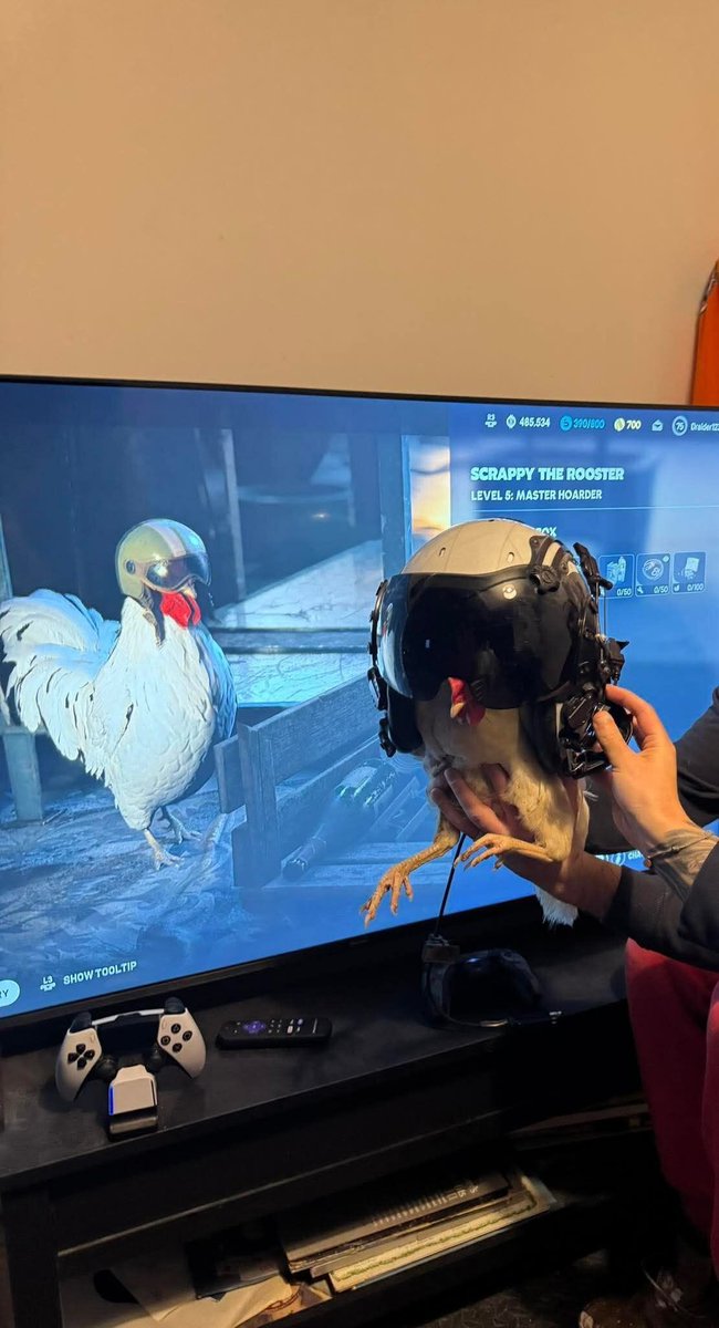 no context memes tweet media