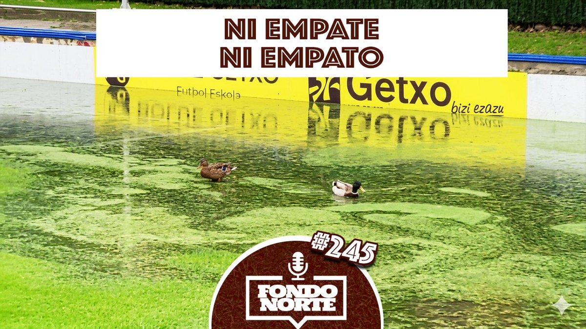 PontevedraCF.Net 🦴 tweet media