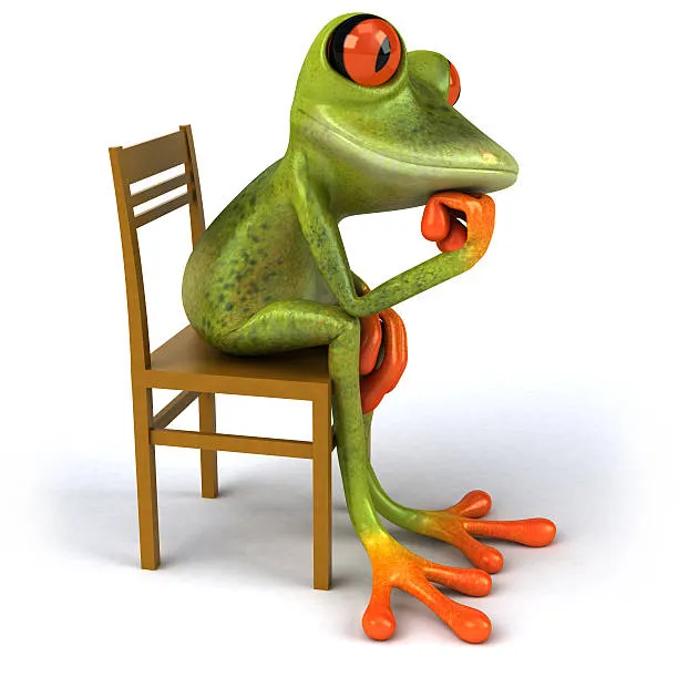 Who are the best news, culture, and finance accounts on 𝕏?