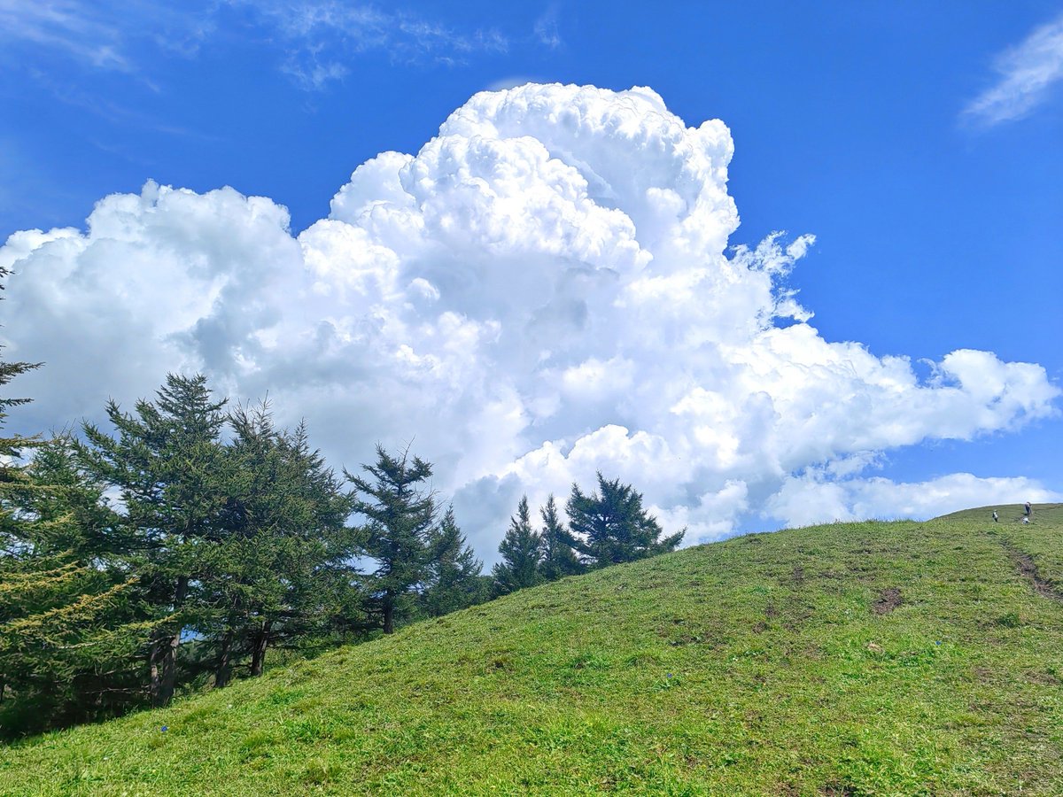 Shivam Bajpai tweet media