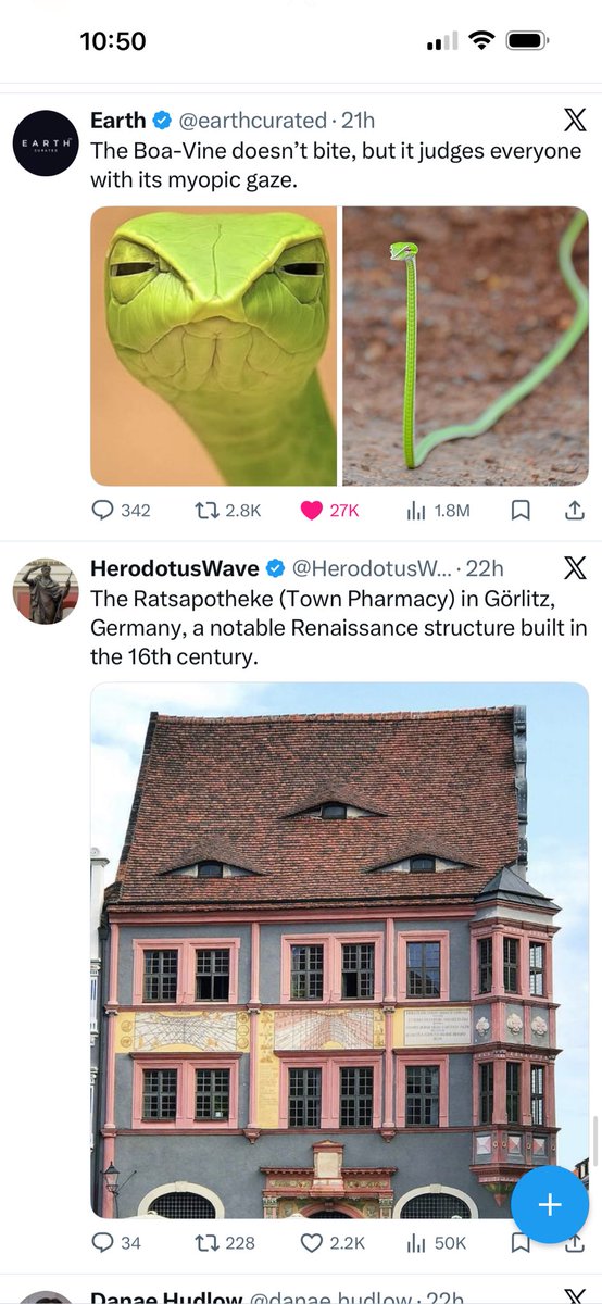 consuelito linda 🍁 tweet media