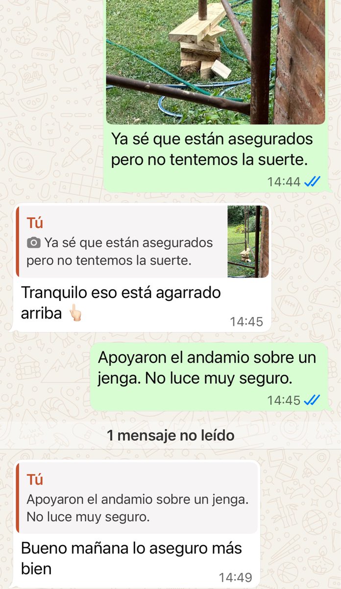 Pedro Lambertini tweet media