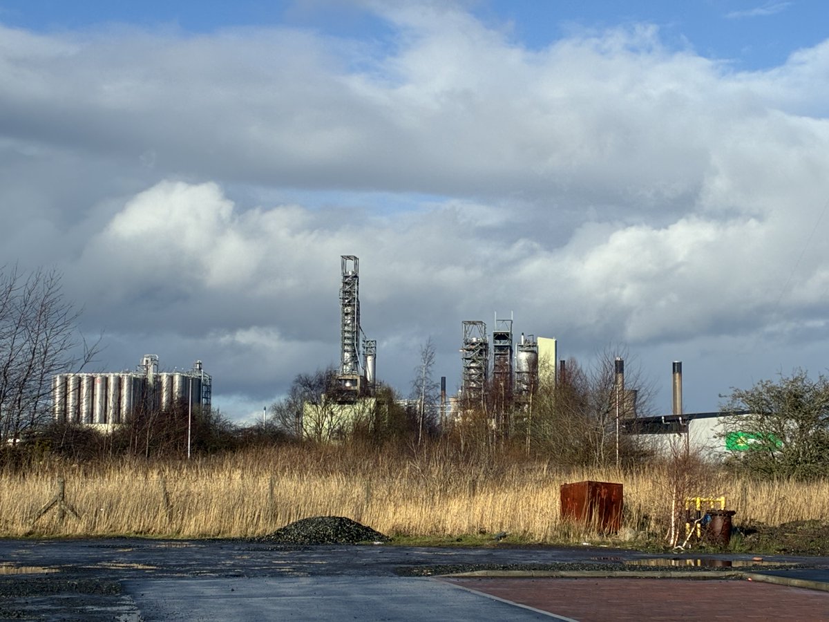 Michael MacNeil tweet media