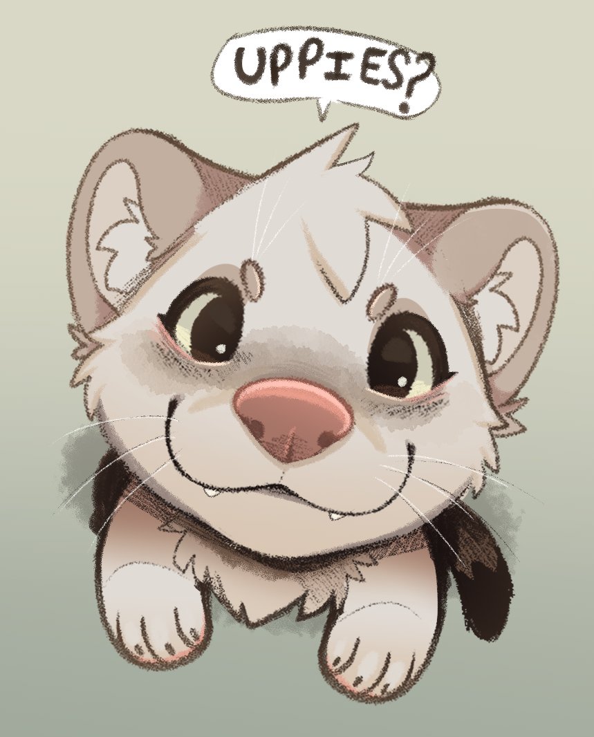 Feve 🔜 Anthrocon tweet media