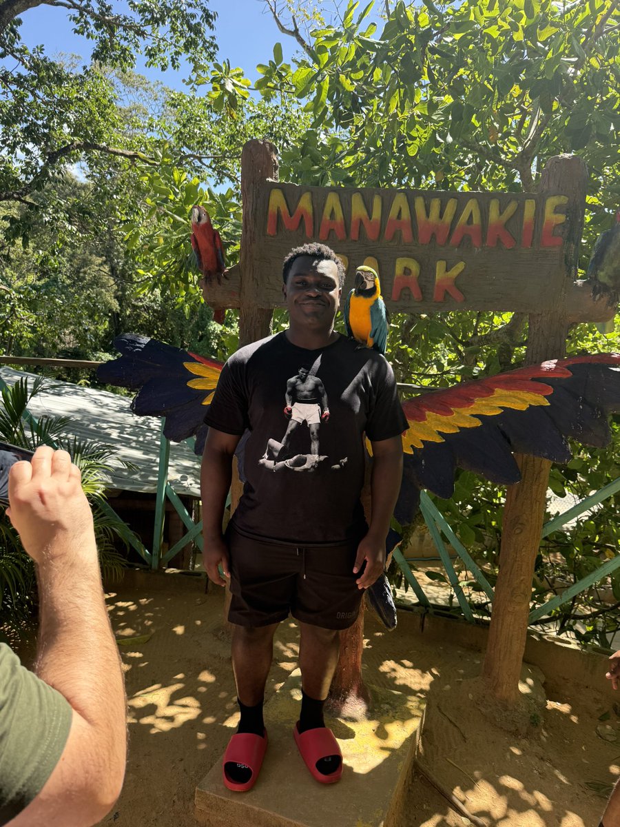 Roy Swan Jr. tweet media