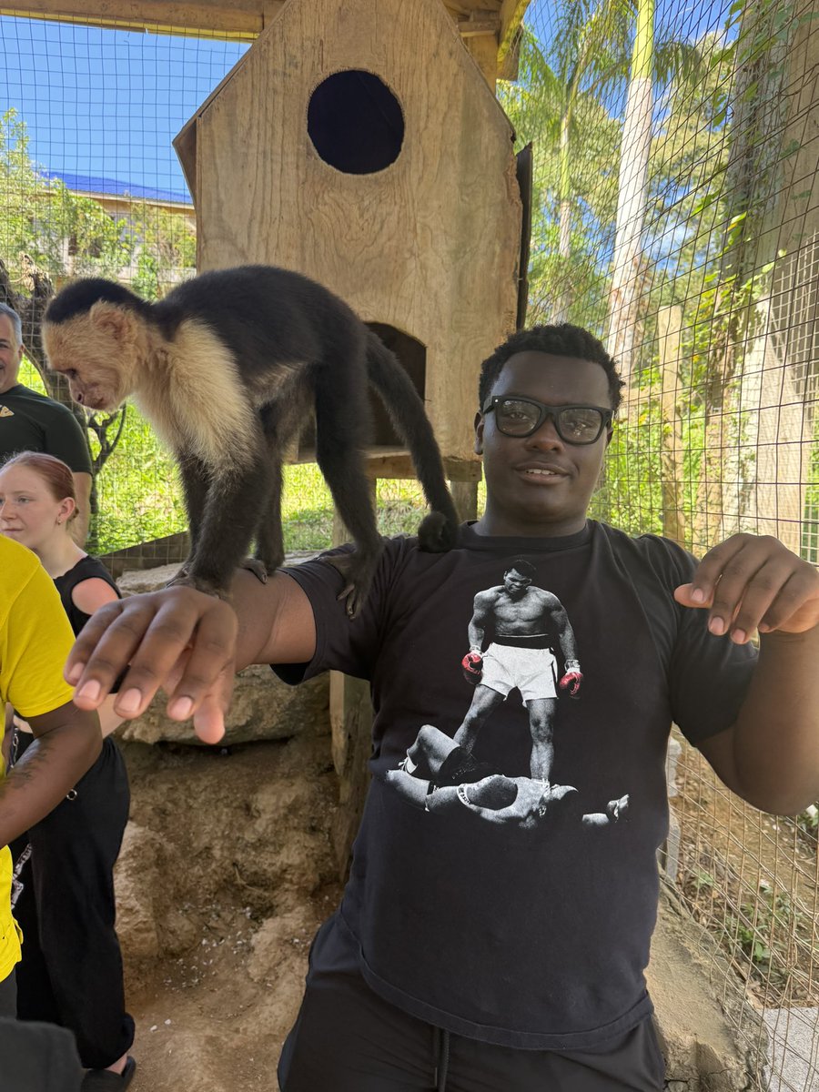 Roy Swan Jr. tweet media