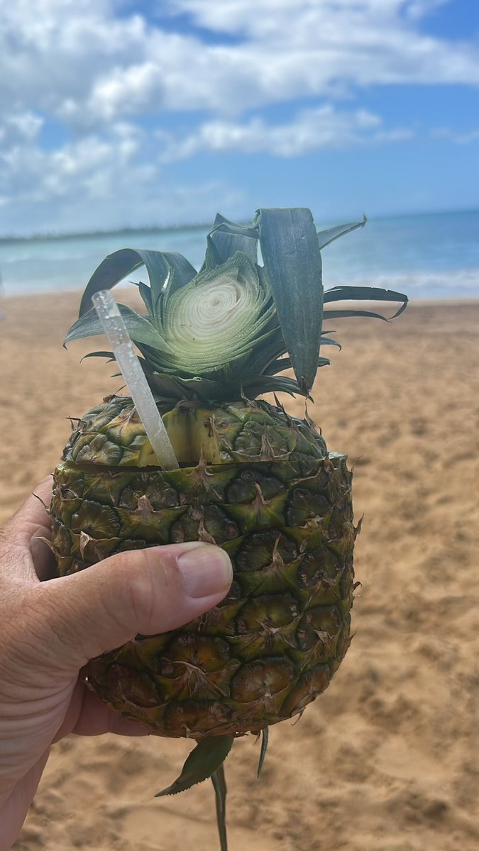 JS. Ritchie 🇨🇦 tweet media