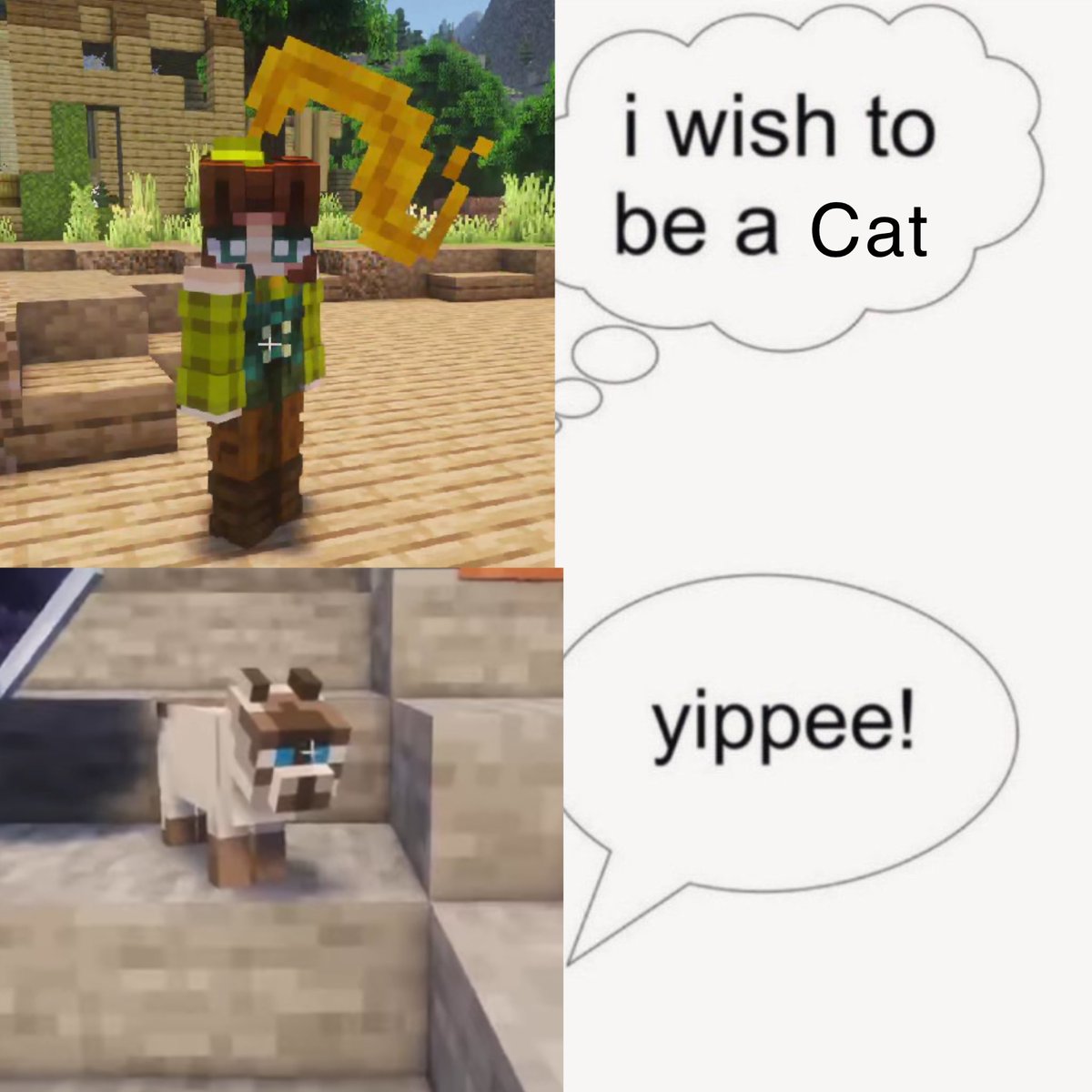 🌙 Azira tweet media