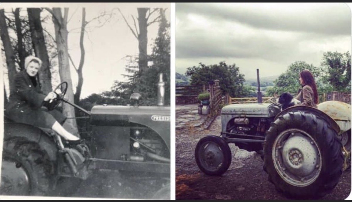 Alison O’Neill ~ Shepherdess tweet media