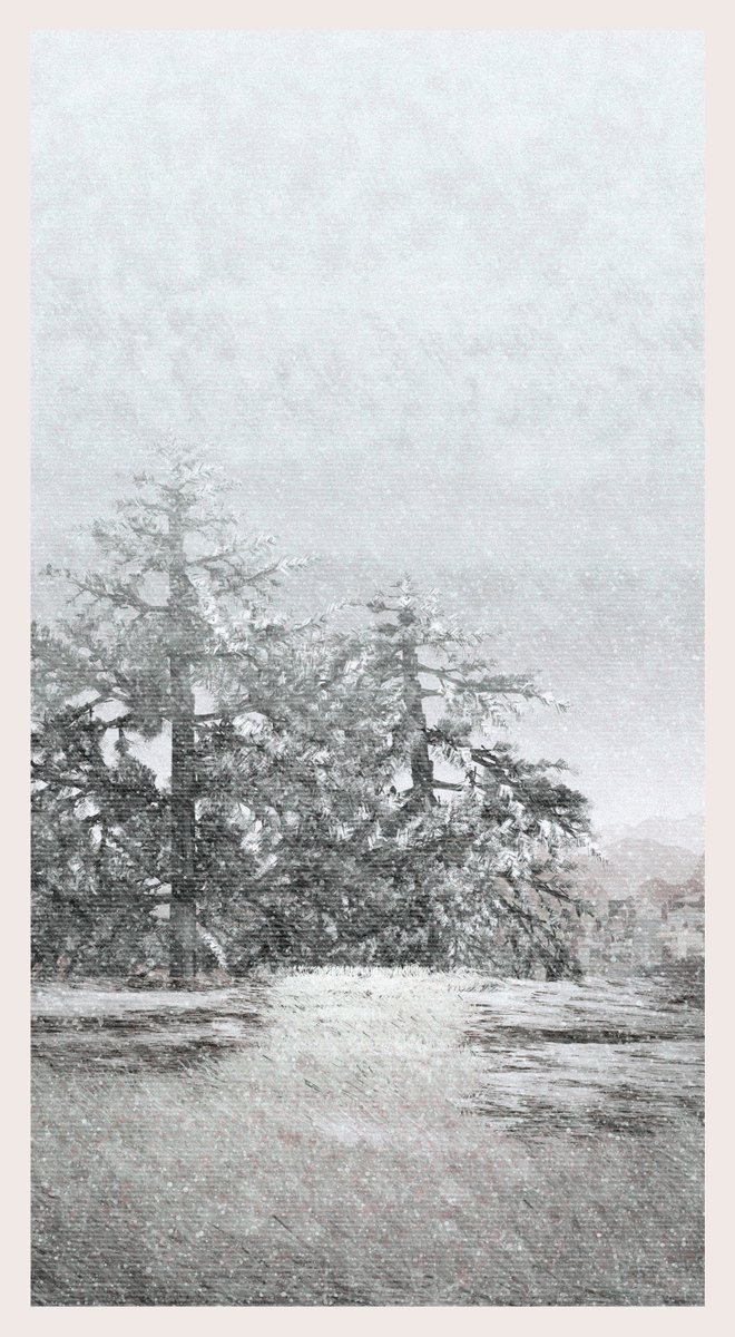 Qotonana tweet media