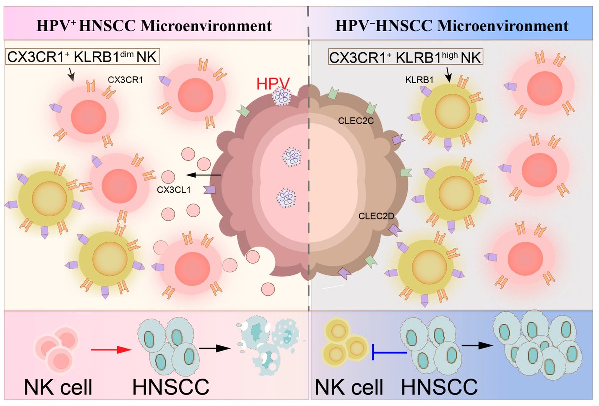 Waggoner Lab tweet media